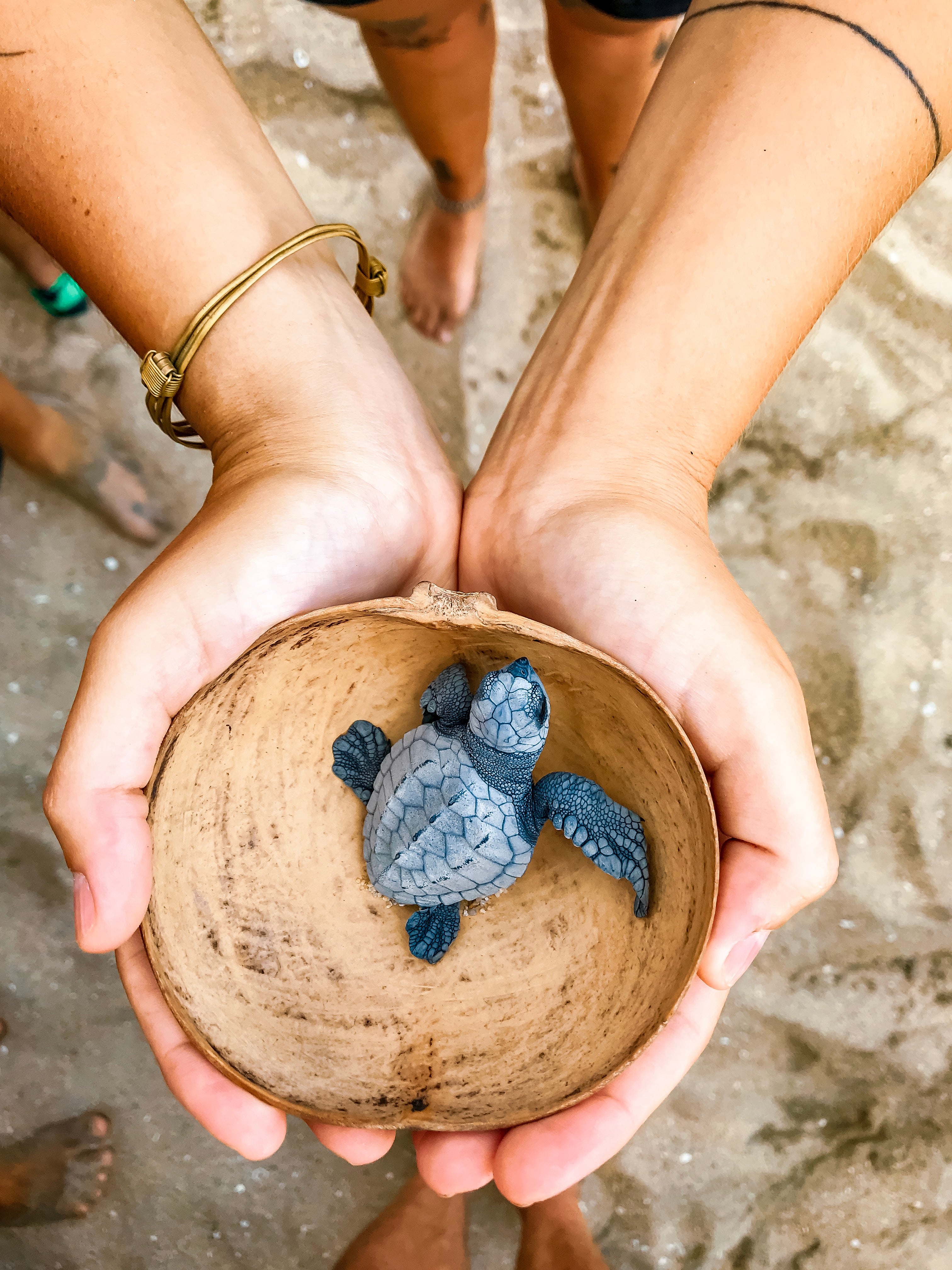 Environmental Stewardship