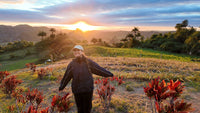 - Mary., Exploring the Island's Past, Present & Future
