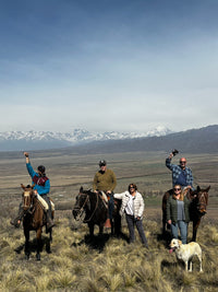 - Lynn Montgomery, Argentina Private Trip