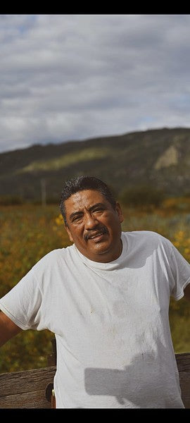Don Jerónimo
