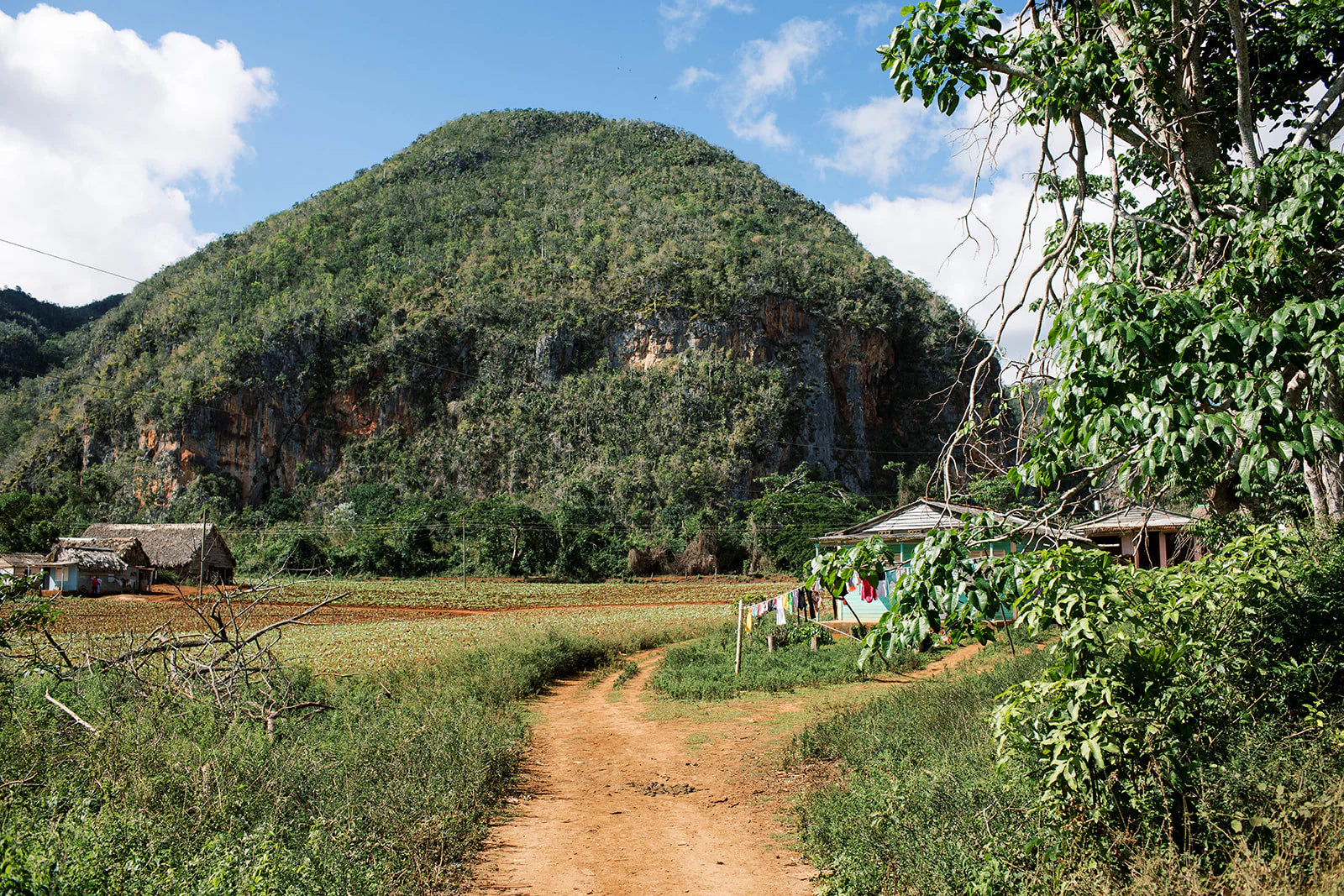 Cayo Jutías & the Cuban Countryside 2025/2026